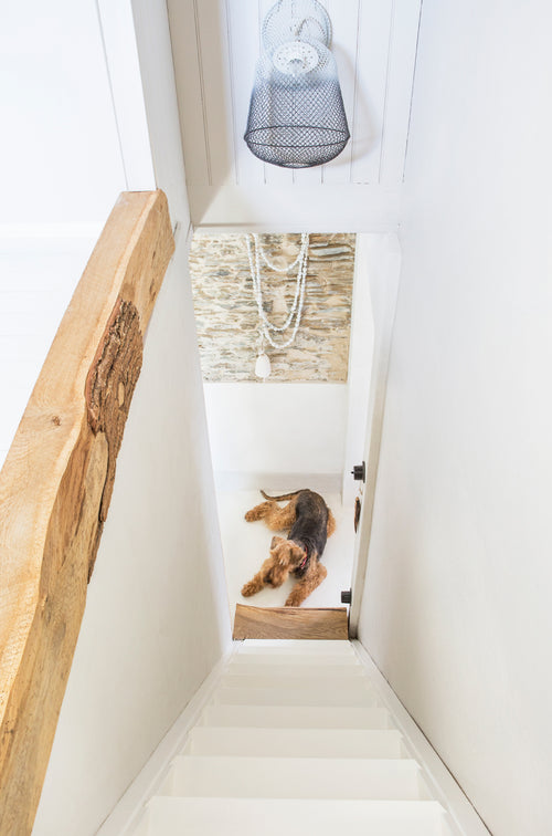 Noirmoutier_CoutumeStudio_escaliers