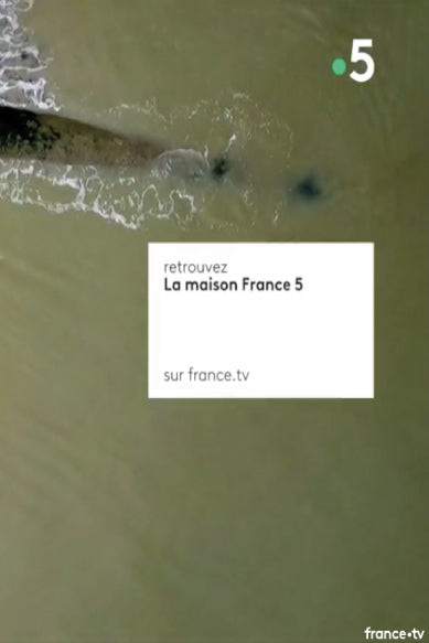 la-maison-france5-coutume-studio-2