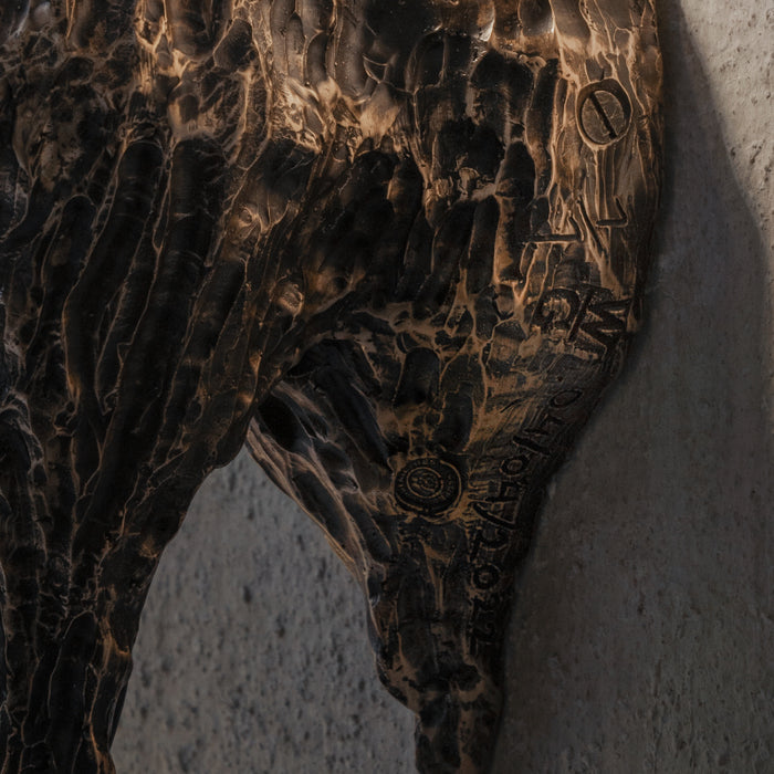 High and Dry / William Guillon